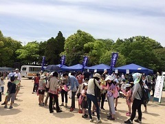 sakai1.jpg