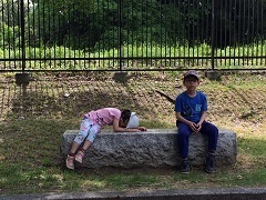 sakai3.jpg